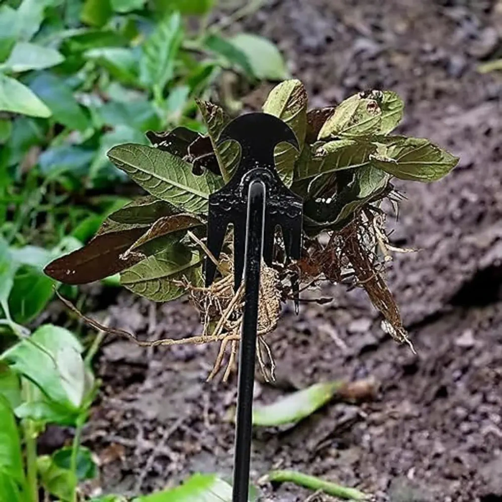 Slide image f16076fb8e8c4289b951e5067510153d