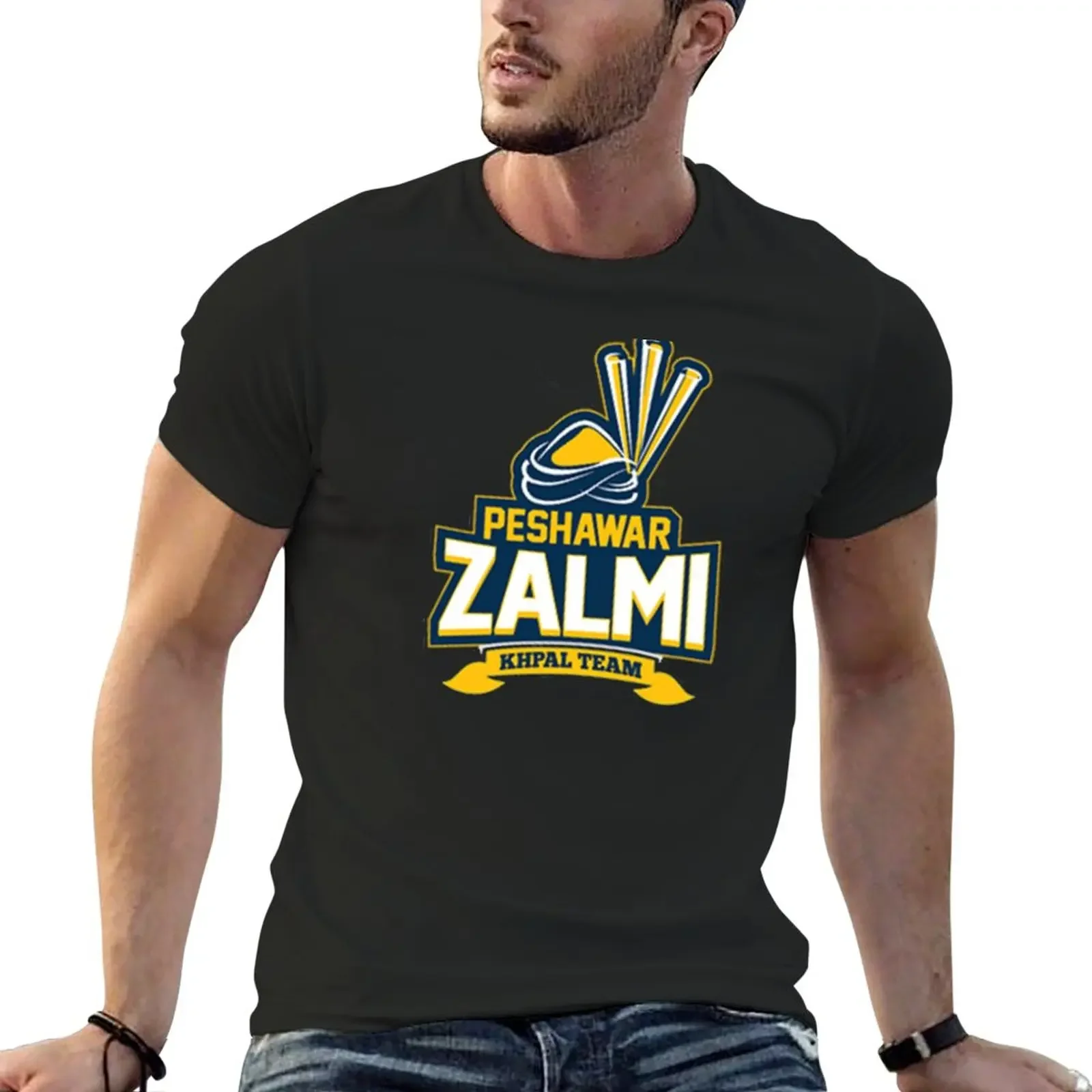 

Peshawar Zalmi cricket team logo T-Shirt customs plain sweat shirts, men