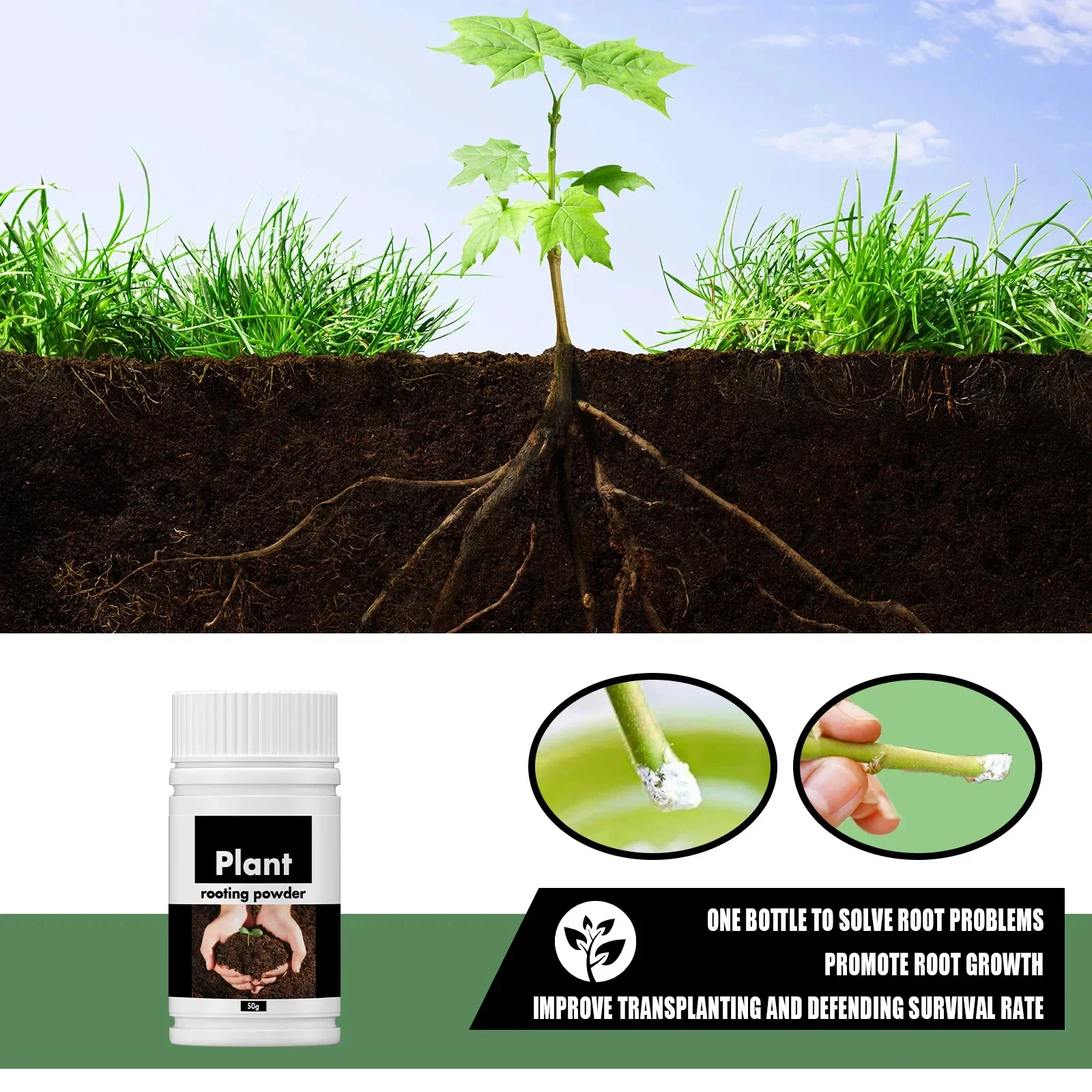 Plant Root Stimulator Rooting Powder for Plants