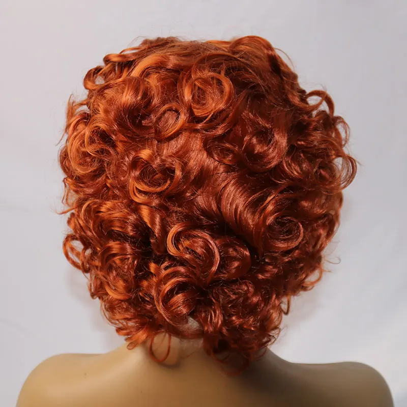 OLEY Natural Synthetic Lace Frontal Wig 12 Inches Heat Resistant Fiber Short Body Wavy Hair For Women Golden Brown Daily Use Wig