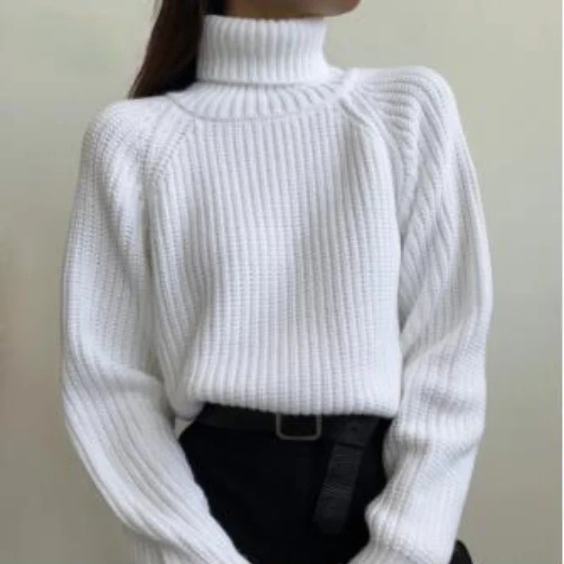 

European and American Turtleneck Sweater Retro Solid Color 2021 Fashion New Autumn and Winter Thickened Loose Outer Jacket Women