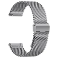 Silver-1.0 mesh