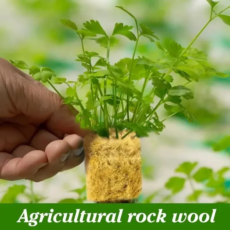 Sponge Block Starter Plugs Rock Wool Grow Cubes Soilless Substrate Seeded Planting Spong Plug Seedling Block Garden Supplies seed starter plugs
