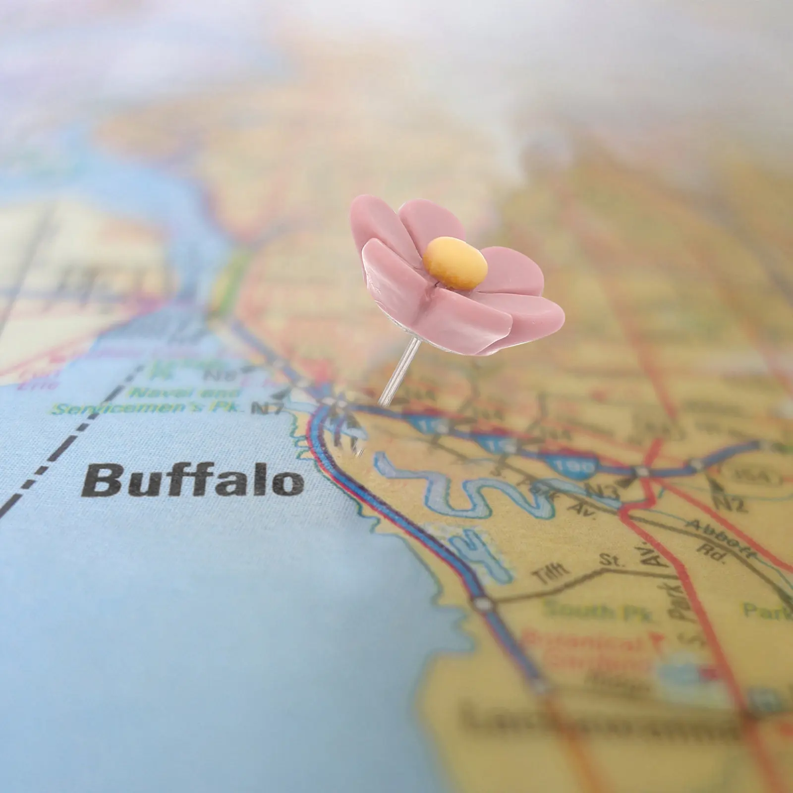 50개 꽃 모양 압정, 장 푸시핀, 다채로운 코르크보드 압정, 사진 디스플레이 핀, 사무실, 가정, 교실용