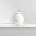S3 White Wide mouth