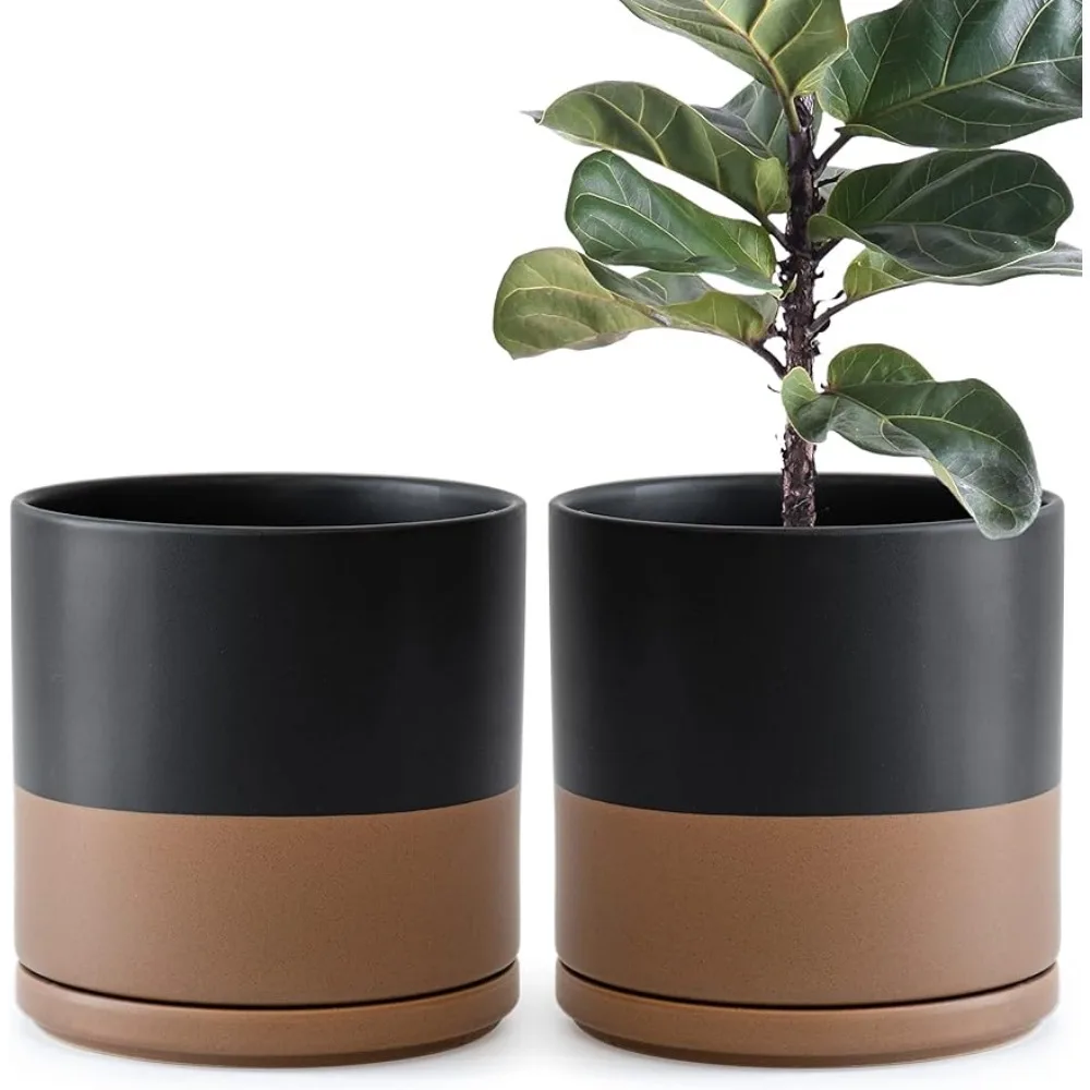 

Flower Pot Set of 2 Plants Pot, 10 Inch Ceramic Planter Pots for Plants with Drainage Hole and Saucer, Black/Speckled Tan