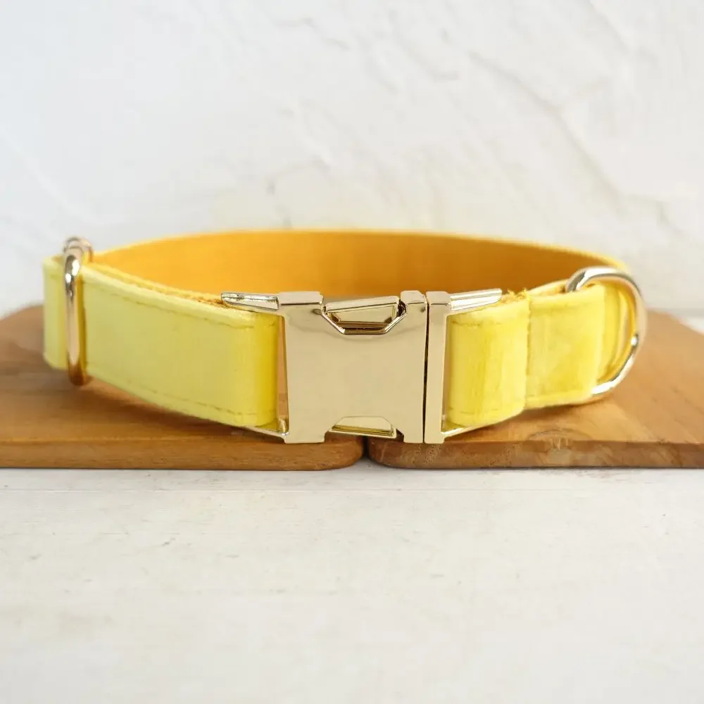 Dog Collar With Free Engraving ID Name Tag