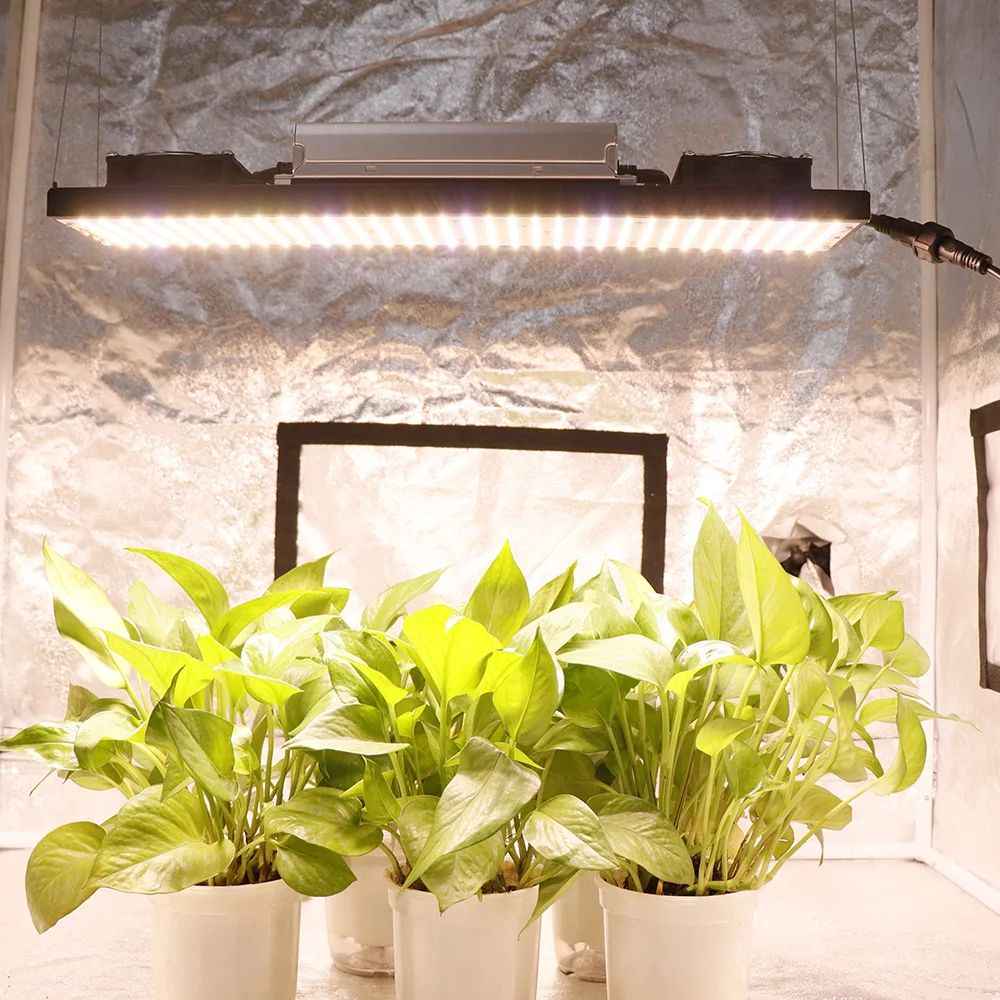 Sam-sung LM301H V5 Quantum Tech LED Grow Light  240W 480W 720W Full Spectrum Phyto Lamp for Indoor Plants Hydroponics Veg Flower