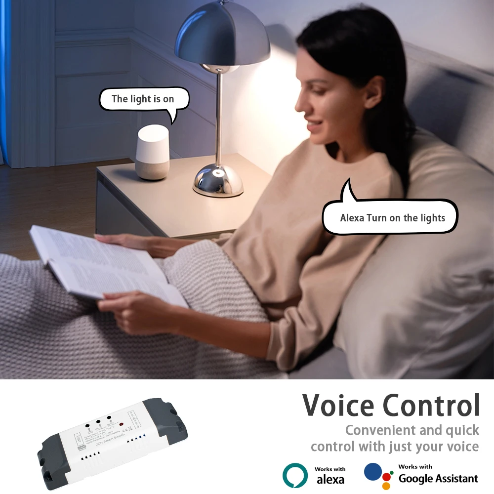 Smart WiFi Relay Switch with Timer & Dry Contact Control – Voice Assistant Compatible