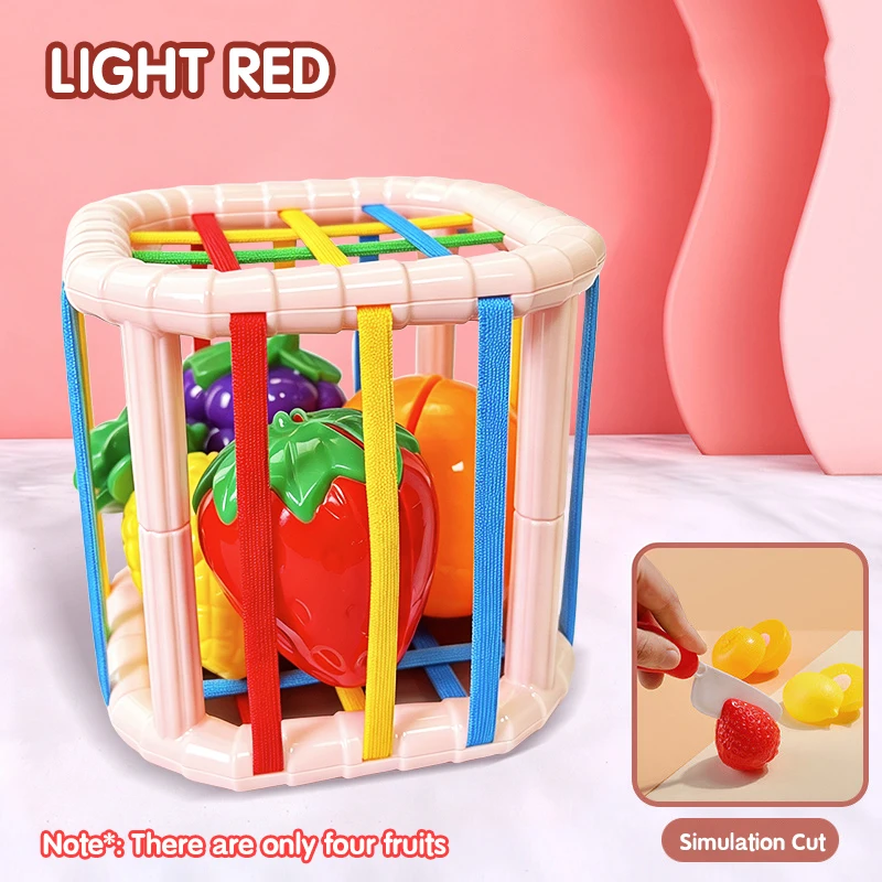 Montessori Sensory Development Blocks Sorting Game