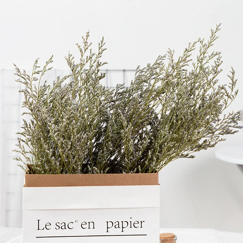 

Natural Lover Grass Dried Preserved Dancing Flowers Real Forever Flower Branch Minimalist Style Home Wedding Decora DIY Material