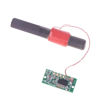 WWVB/60KHz Moduli a frequenza singola Modulo ricevitore Modulo tempo radio Orologio radio Modulo radio Modulo ricevitore DCF con antenna