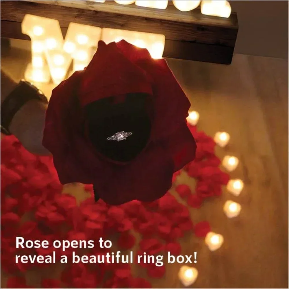 Slide image 0f2a1647f9114fa9bc545c0240a888fe