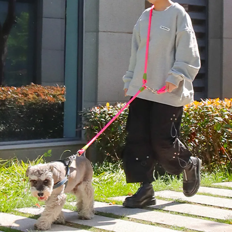 Hands-Free Adjustable Dog Leash 2