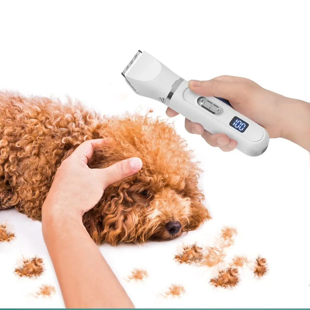 USB Pet Hair Clippers 3