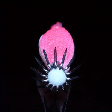 7 Stück/Packung 2,4g 5,5cm Leuchtende Tintenfisch-Jigs mit Lichtschirm und Edelstahlhaken, Angelköder für Tintenfisch, Garnelen und Oktopus – Detail 5