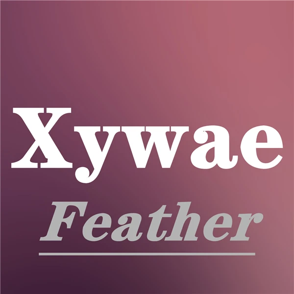 Feathers Crafts Store