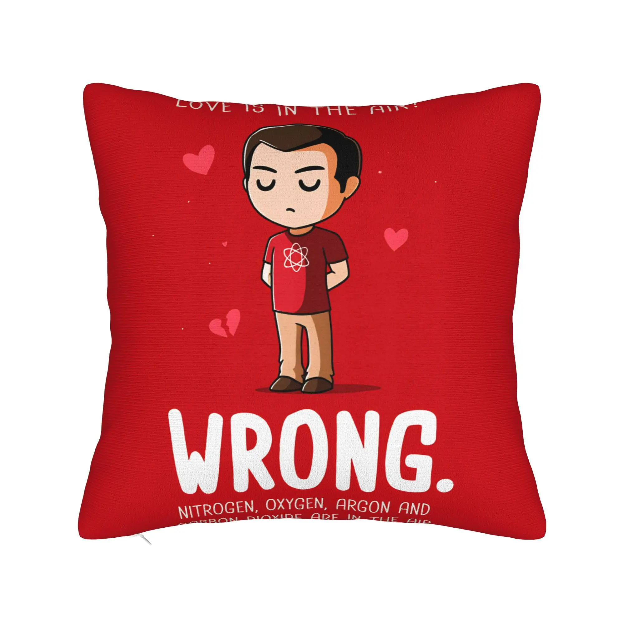 Funny TV Show-Inspired Pillowcase - Soft and Kawaii Decor for Couch, Sofa, or Bedroom