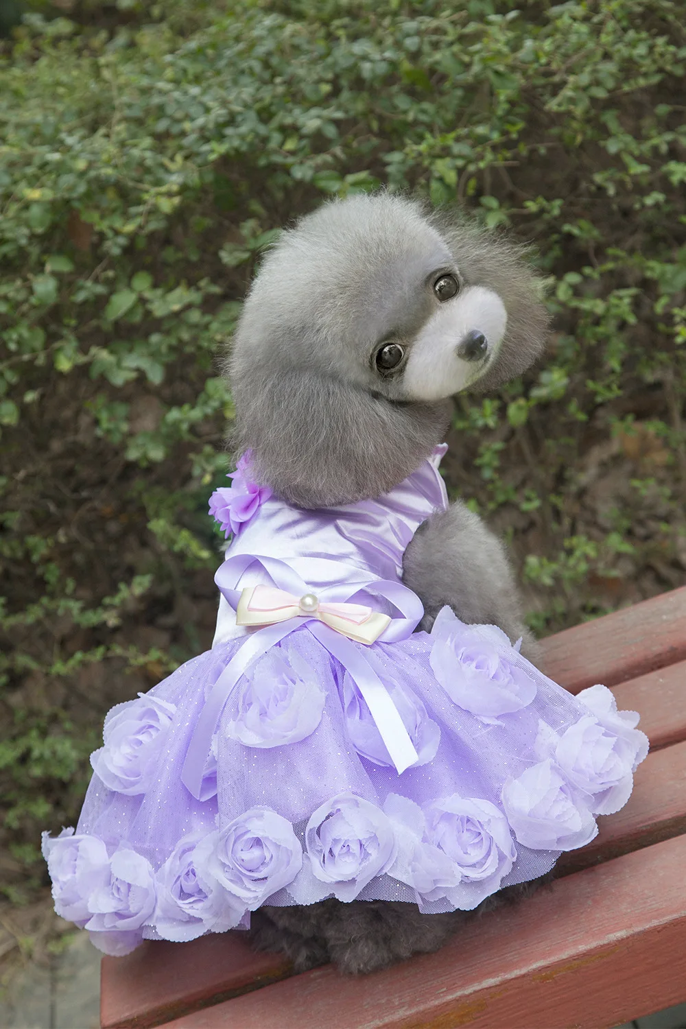 New Summer Pet Dress Dog Clothes Rose Princess Gown Thin Breathable Mesh Cat Kitten Wedding Party Formal Attire