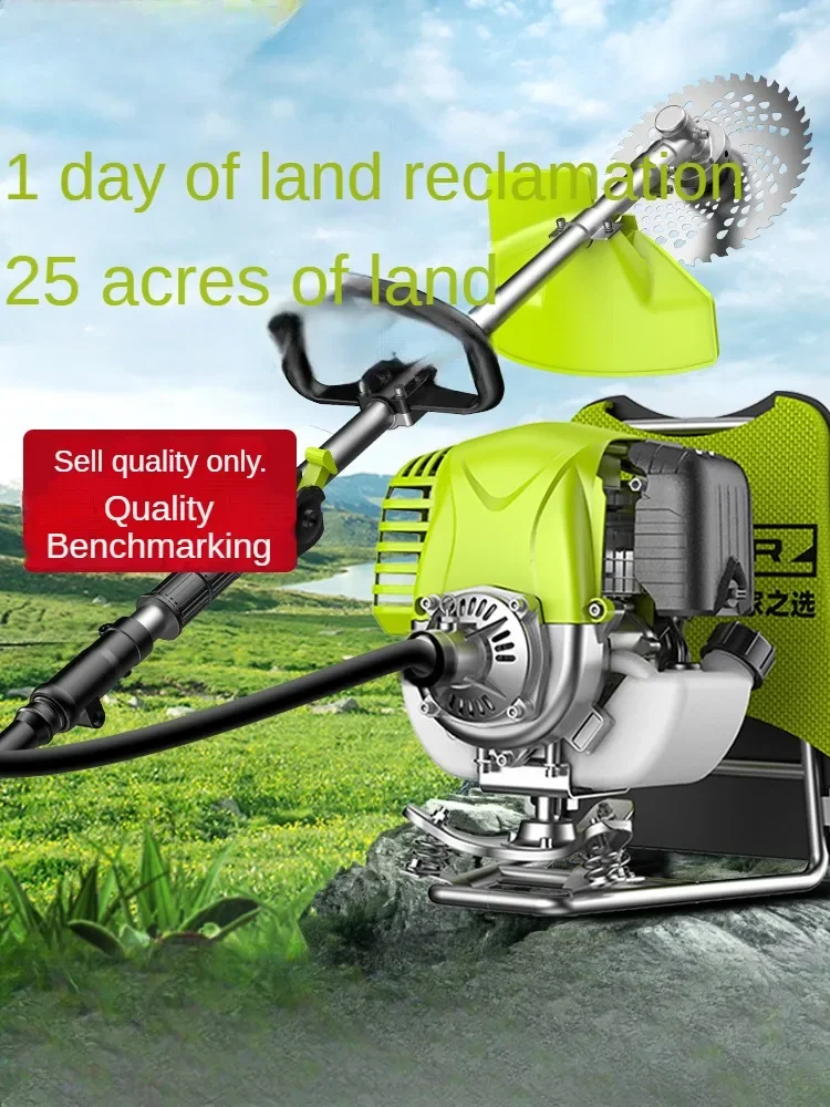 Tondeuse à gazon à quatre temps Jane SR, petit ménage 1