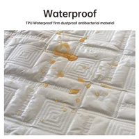 Waterproof Bed Sheet Quilted Throw Mattress Cover for Winter Elastic Fitted Sheet  Protector Full Queen King 160/140*200cm 2
