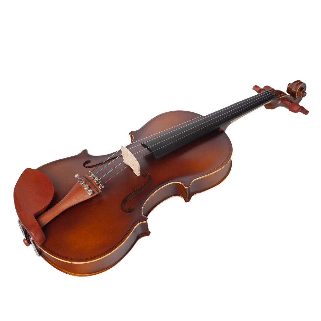 NAOMI Full Size 4/4 Violin Starter Kit With Hard CaseBrazilwood Bow Extra Strings For Adults Beginners Violin Accessories