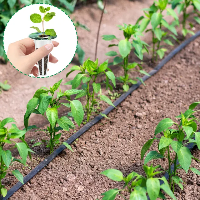 121 Százalékos Hidroponikus Tenyésztési Készlet Transzplantáció Újrahasznosítható Termesztési Rendszer Kosarak/Kupolák/Szivacsok Címkék Átlátszó - Image 5