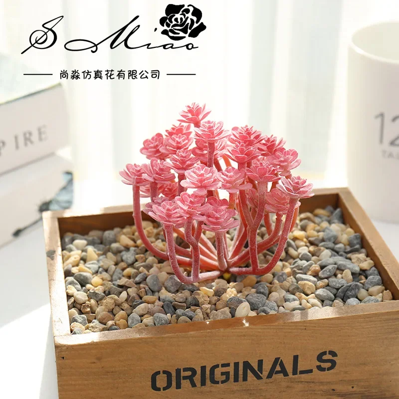 Lush Green Succulent Cactus Decorative Accessory