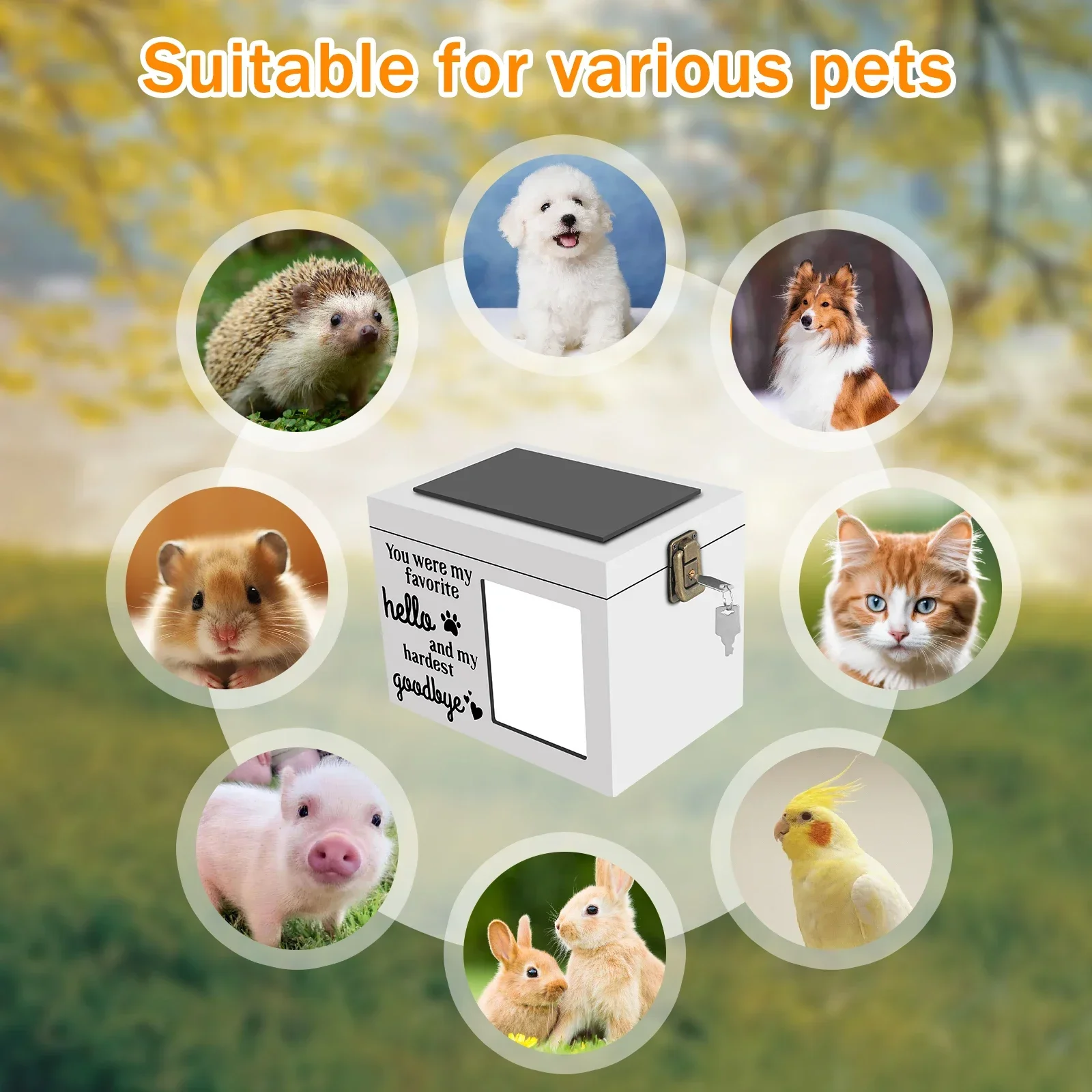 Wood Pet Memorial Urn Dog Cremation Urn Photo Frame Key and Lock Personalized Pet Keepsake Memory Box for Dog or Cat Ashes