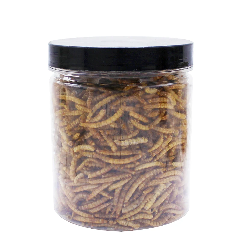250g High-Protein Mealworms for Wild Bird ,Chicken, Ducks,Fish,Reptile, Tortoise , Amphibian,Lizard