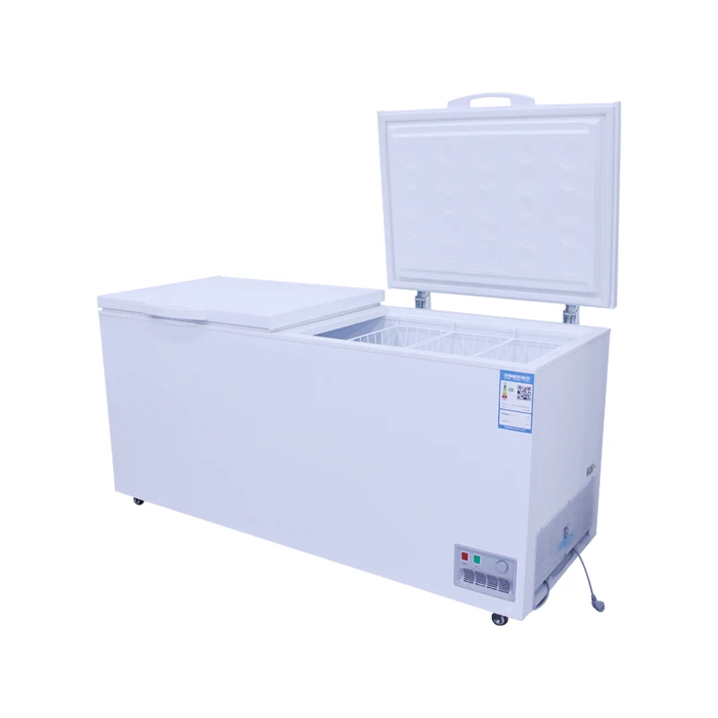 Best-selling two-door commercial best-selling food storage freezer 3
