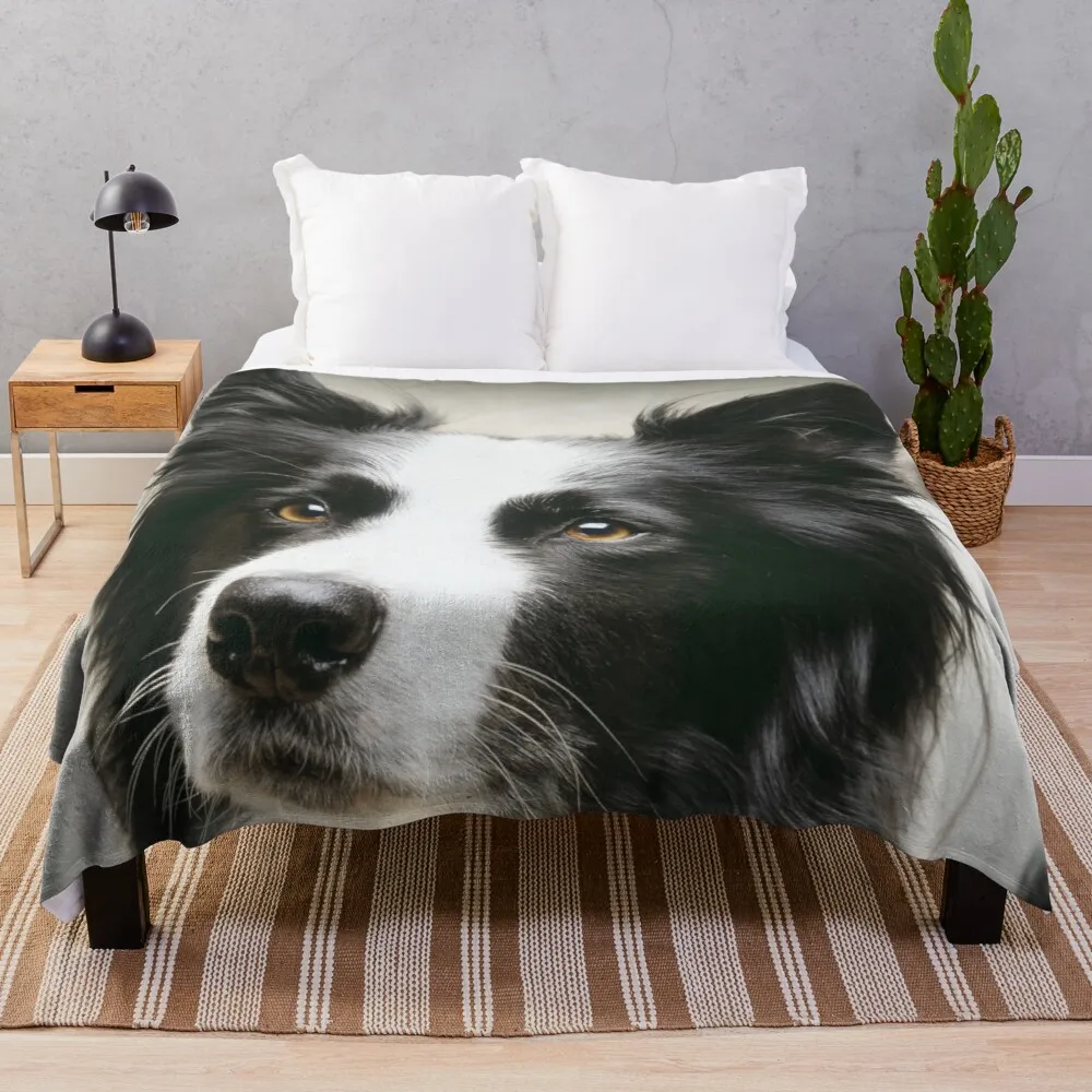 

Working Border Collie Throw Blanket soft plaid
