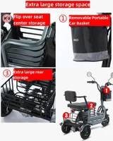 Tricycle électrique puissant pour parents, enfants et adultes, 3 roues, pour personnes âgées, 2 places, batterie 800W amovible, longue autonomie, scooter électrique 60 km 5