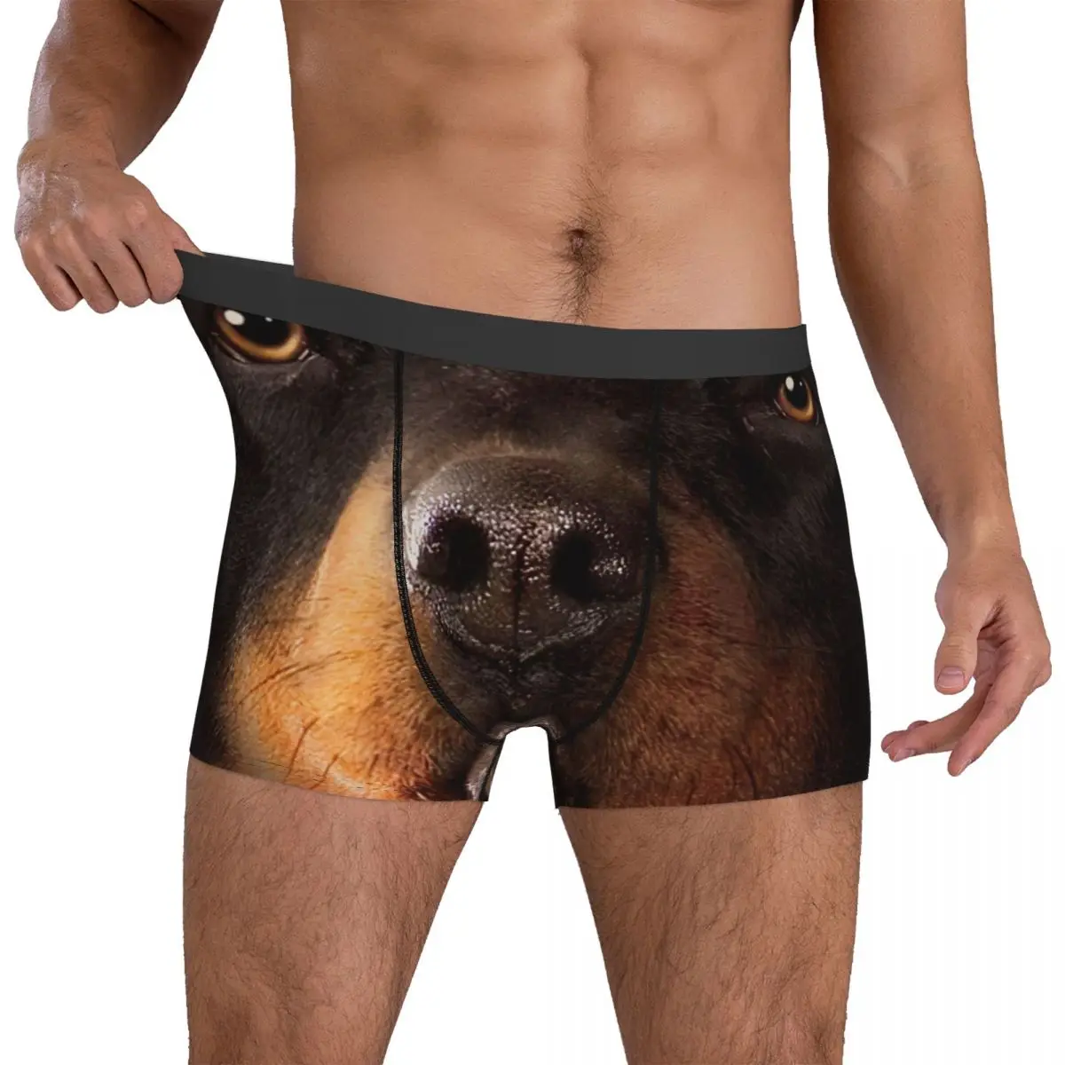 Rottweiler Underpants Breathbale Panties Funny Male Underwear Print Shorts Boxer Briefs