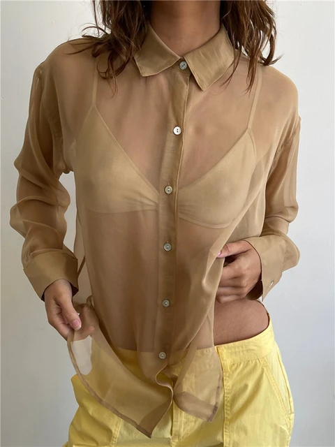 Women's Sheer Button Up Shirt Y2K Long Sleeve Lapel V Neck Mesh Top Vintage  See Through Basic Blouse Streetwear