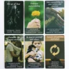 Spirit Advice Oracle Deck Cards About 10X6cm For Family Party High Quality Fortune Telling Divination Tarot Cards Deck Game 5