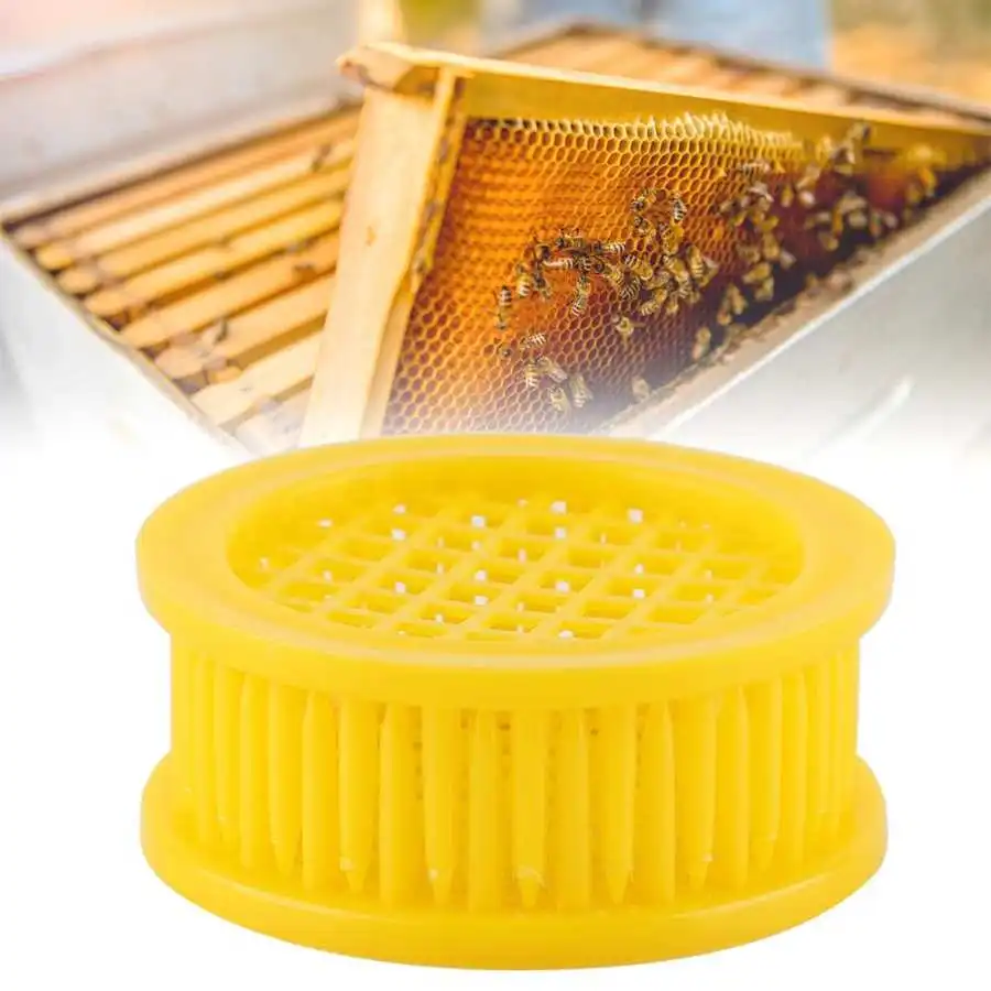 Beekeeping tools 6 Pcs Queen bee rearing box Cell Beekeeping equipment Garden beekeeping tools