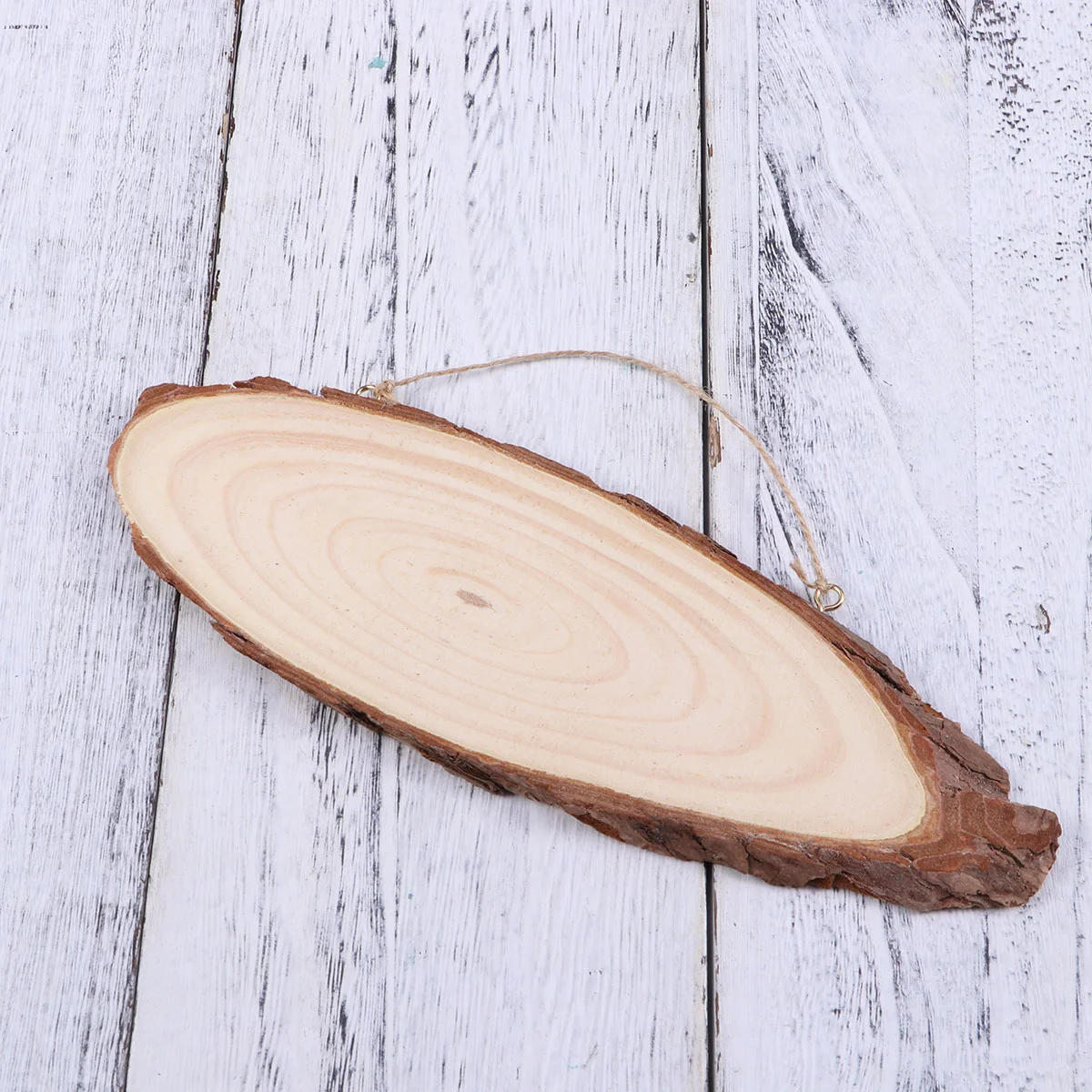 22x7cm Oval Blank Wooden Disc Tree Log Slice Plaques with Hooks and Rope for DIY Decoration Crafts Projects Stainless Steel