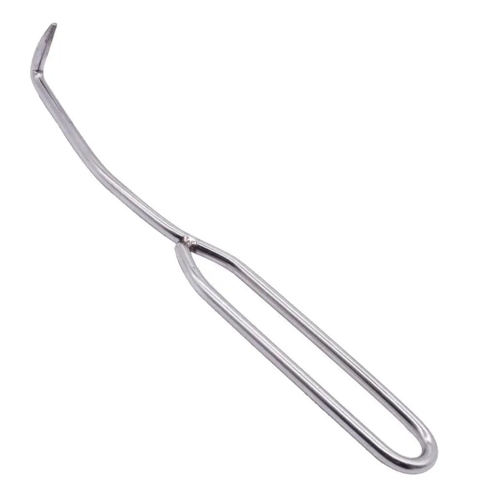 Durable Beekeeping Needle Queen Rearing Grafting Tool Stainless Steel Double Head Grafting Tool Bee Hive Scraper Beekeeper