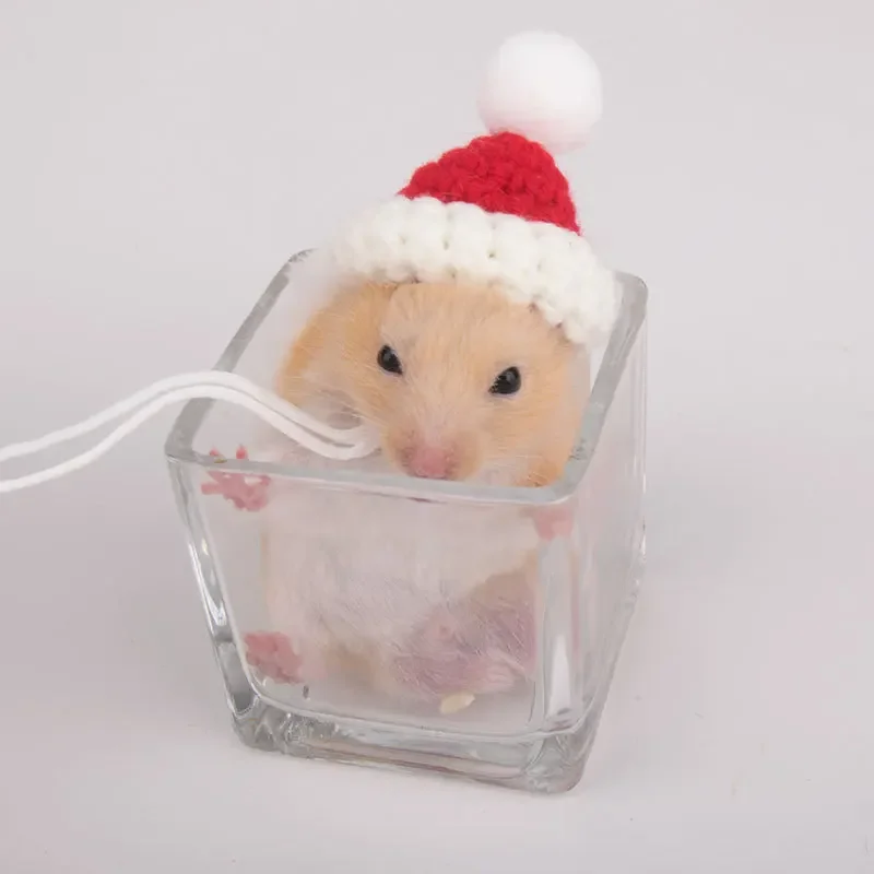 Christmas Bird Hat Small Animals Lovely Hand Knitted Hats for Hamster Lizard Guinea Pig Reptile Party Clothes Costume Pet Caps small animal clothes pet headgear