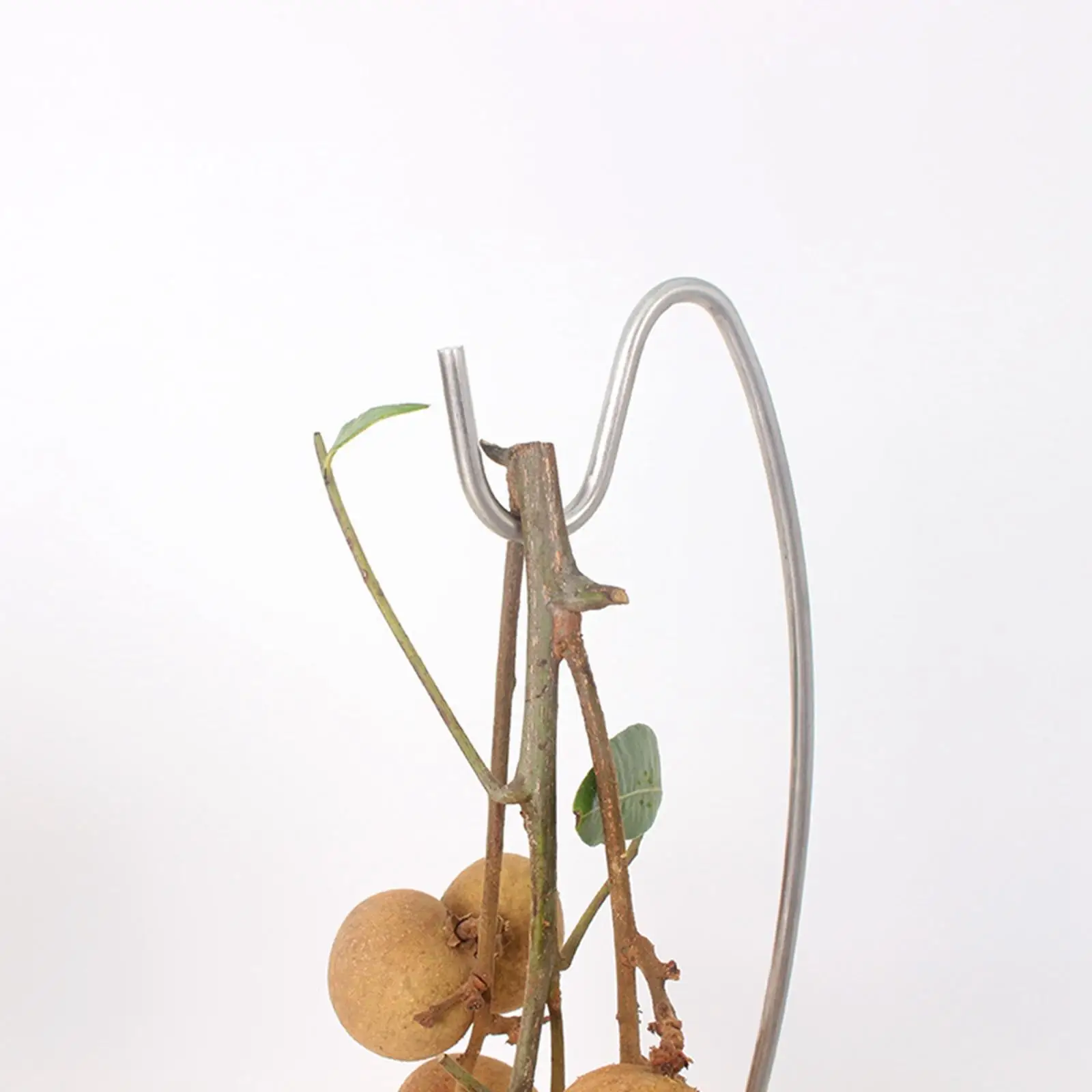 

Stainless Steel Banana Tree Stand Hook Creative Rack Stable for Home Decor