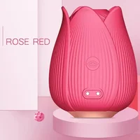 10-Vibrations-Saugvibrator, Punktstimulator, stimulierendes Saugen, Klitoris-Massagegerät, wiederaufladbares Sexspielzeug für Erwachsene für Frauen, Paare 3