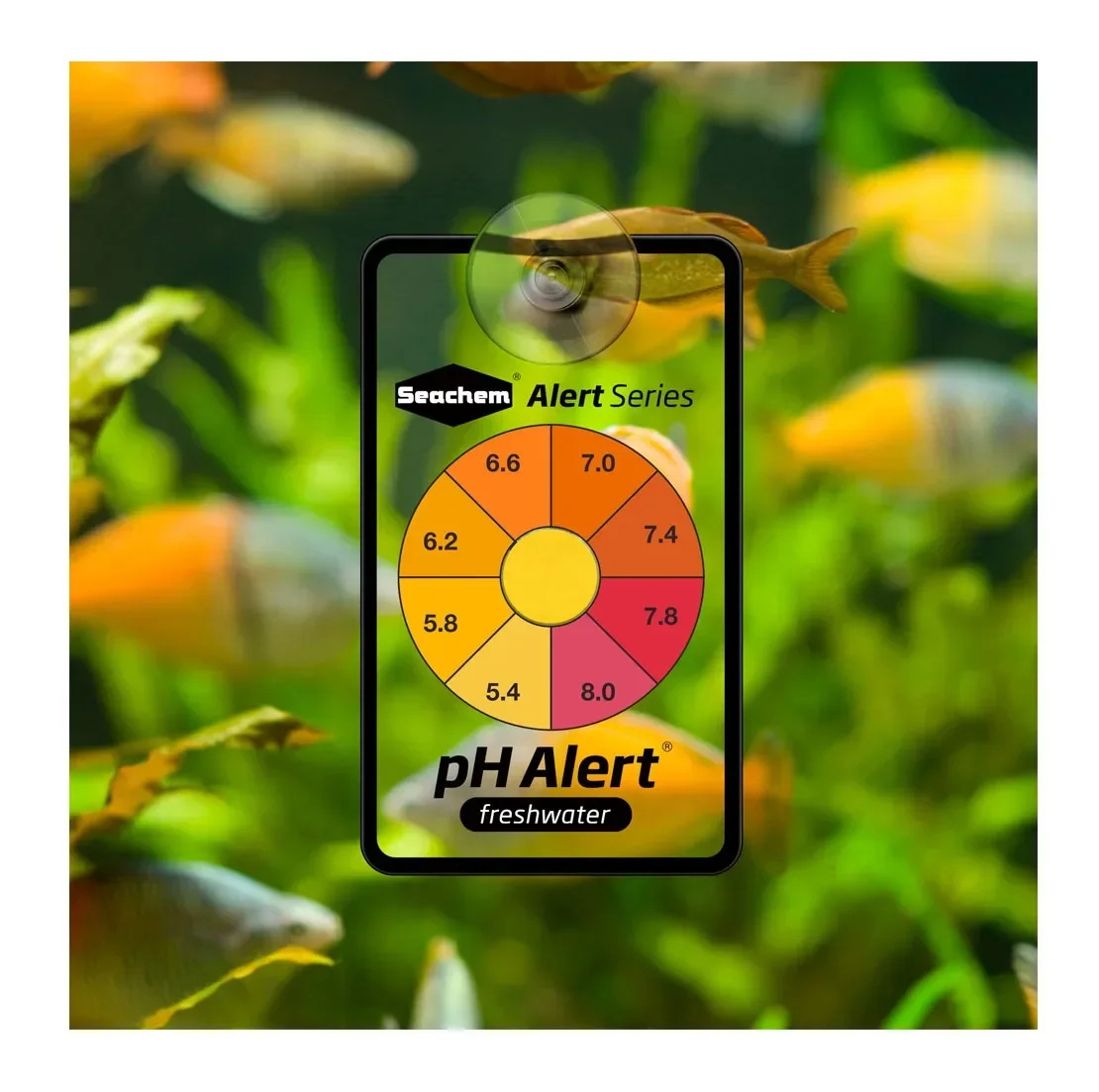 Seachem Water Testing PH Alert NH3 Ammonia Alert