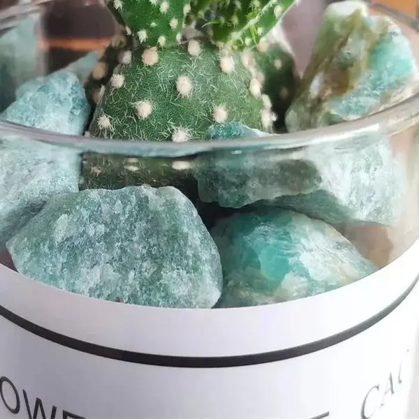 Li Northern Lights Store