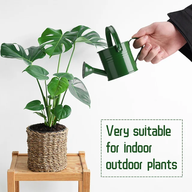 Tin Watering Can Plant Spray Wrought Iron Portable Gardening Tools Metal Sprinkled With Handle Shower for Watering & Irrigation  5
