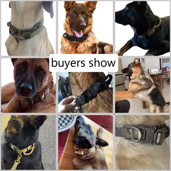 Tactical Dog Collar Set 4