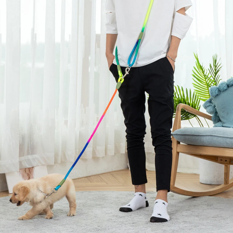 Reflective Nylon Hands-Free Running Dog Leash Lead