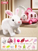 21PCS Rabbits Set