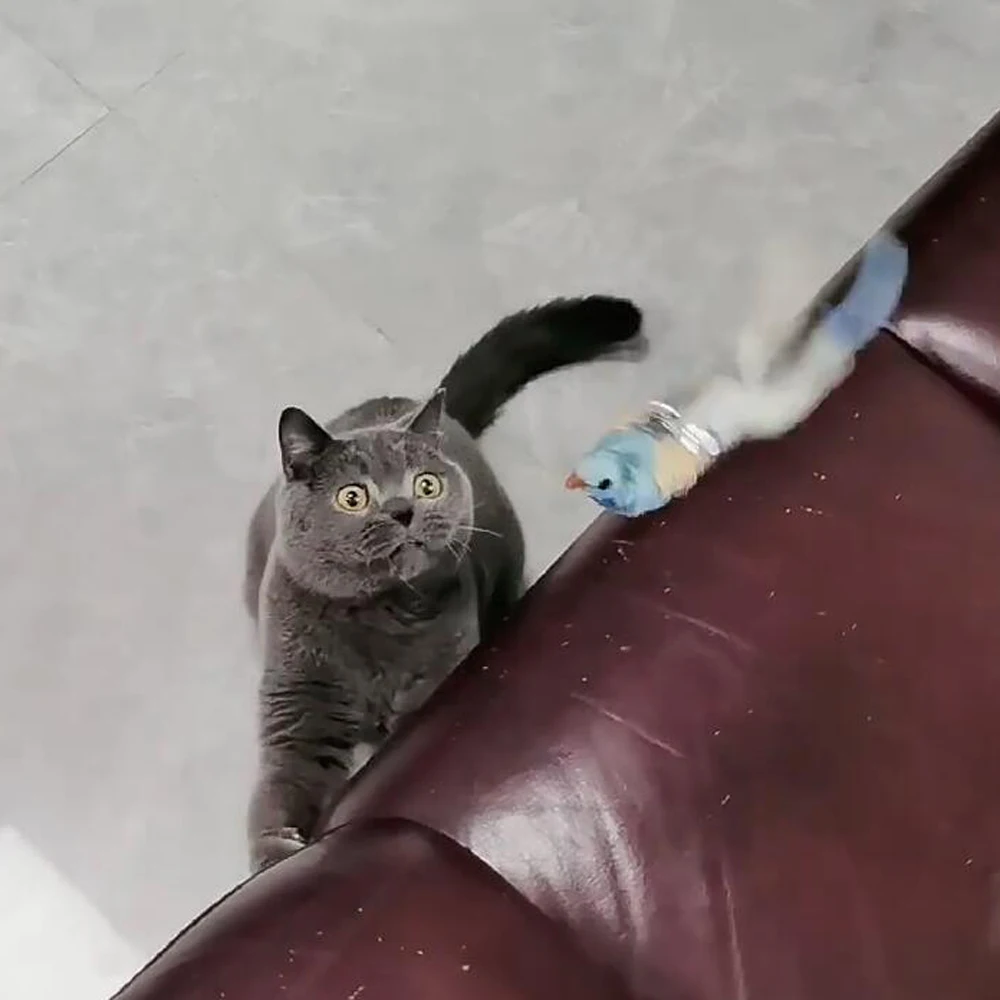 고양이 티저에 대 한 2pcs 교체 머리 재미 있은 고양이 스틱 장난감 막대 깃털 새 애완 동물 장난감 용품