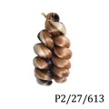 P2 27 613